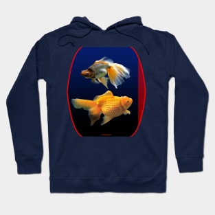 fish, cute fish, fish colorful, fish coral, beatiful fish Hoodie